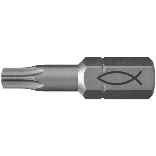 FISCHER Profi Bit FPB T 40 (10)