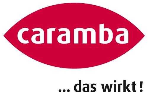 CARAMBA Glasreiniger Easy Clean 500ml Sprühflasche CARAMBA